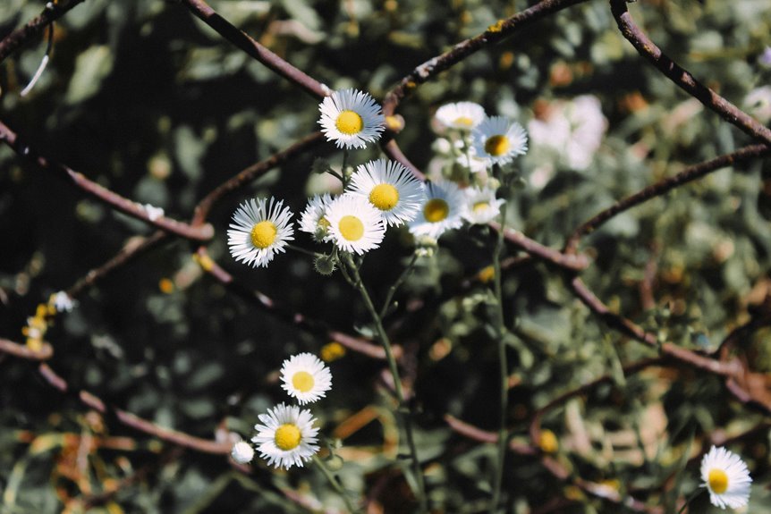 link acquisition boosts serp growth