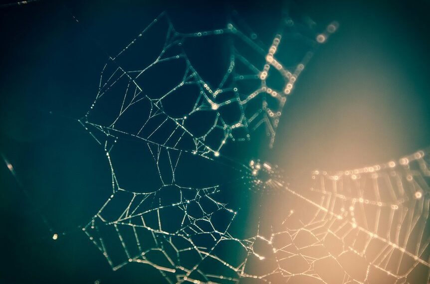 creative web network cloud hub